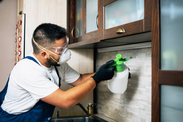 Best Exterminator Services  in Oak Park, IL