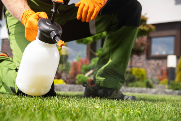 Best Ant Control Services  in Oak Park, IL