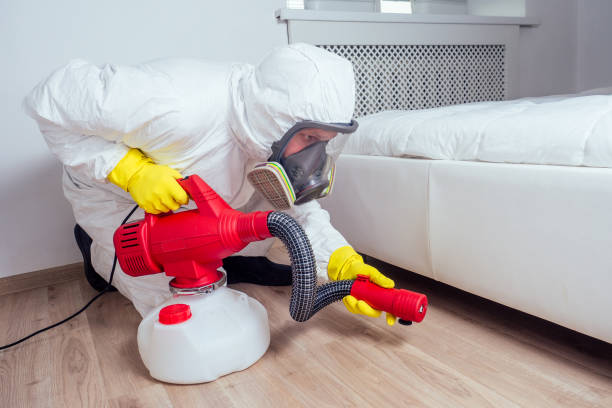 Best Flea Control Services  in Oak Park, IL