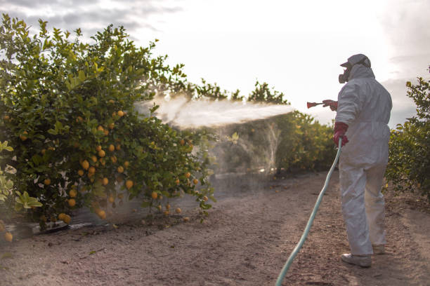 Best Emergency Pest Control  in Oak Park, IL