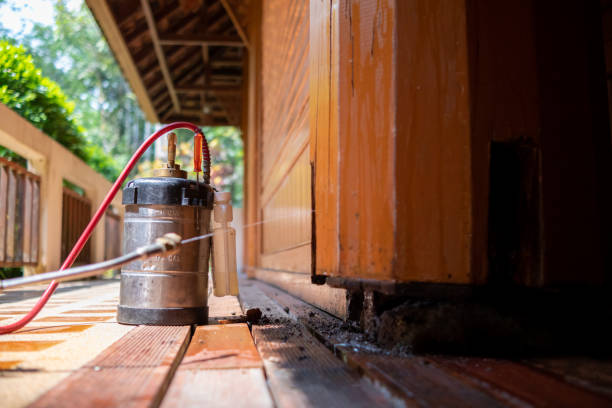 Best Affordable Pest Control Services  in Oak Park, IL