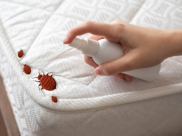 Pest Prevention Services in Oak Park, IL