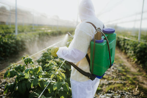 Best Pest Removal Services  in Oak Park, IL